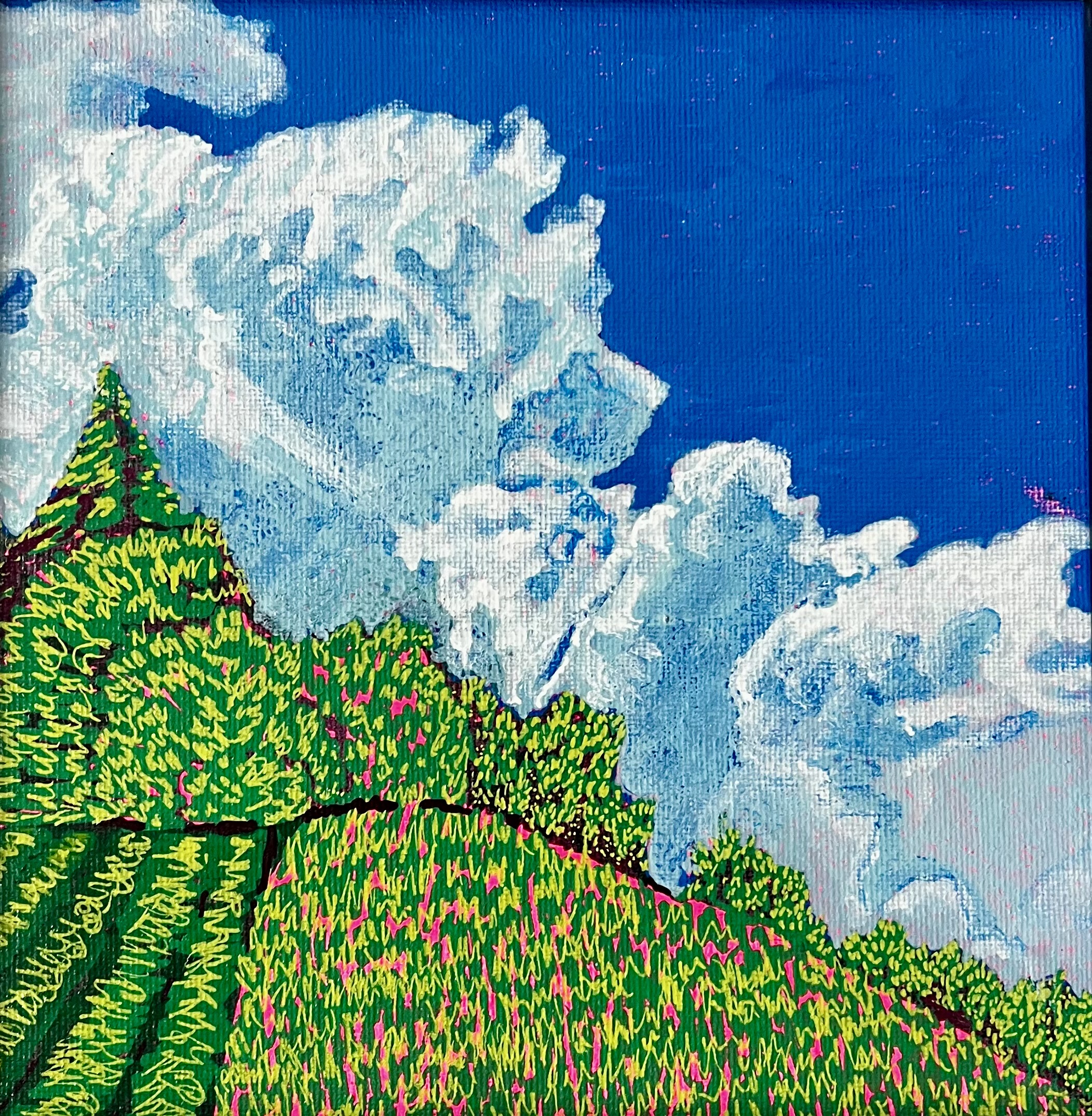 Billowing Skies